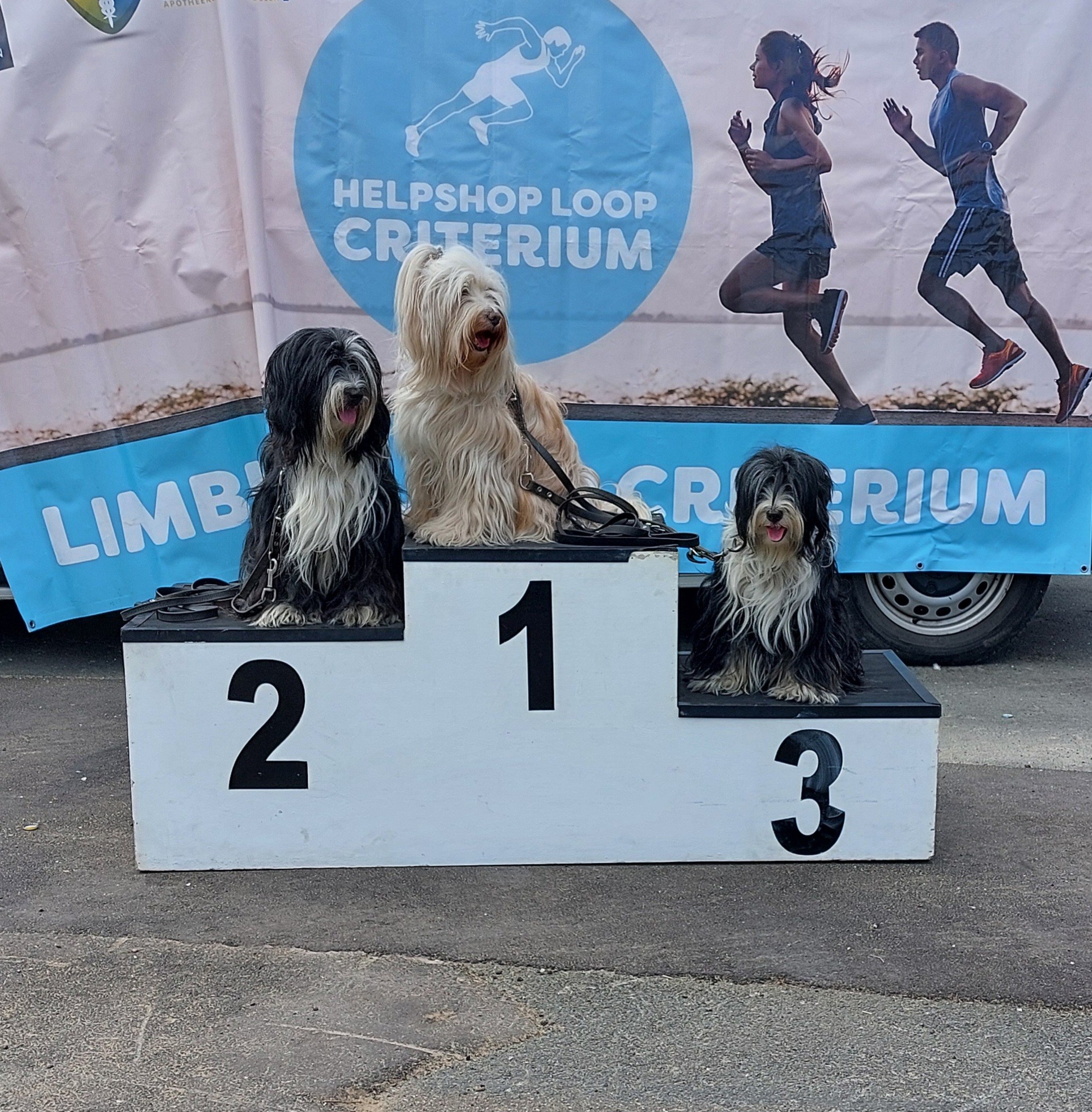 Sfeer Ulbeek